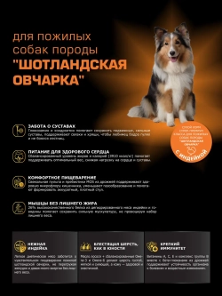 Корм для Шотландская овчарка старше 5 лет, индейка, 3 кг