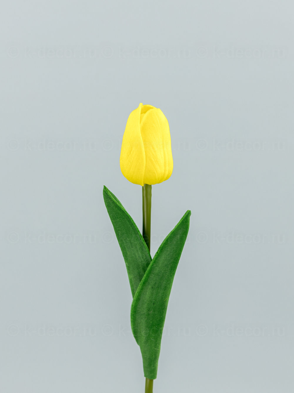 Тюльпан латекс