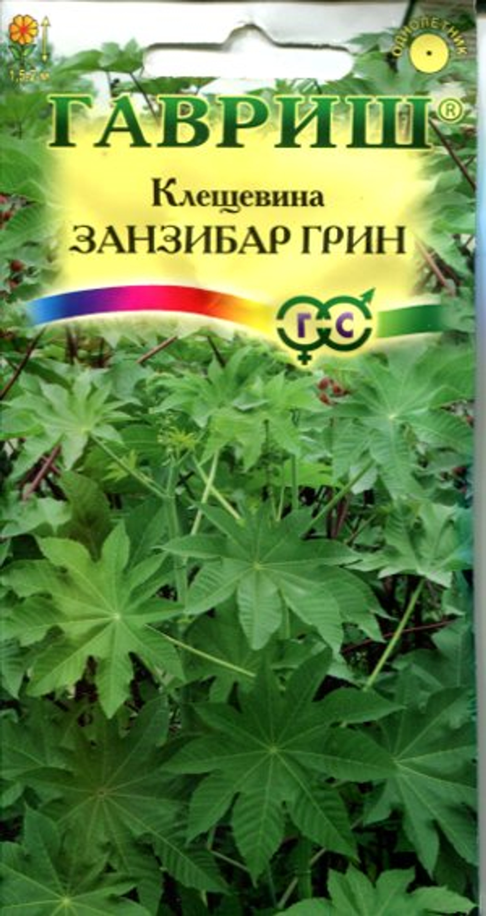 Клещевина Занзибар Грин 5шт