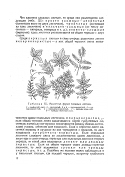 Определитель всходов сорных растений | И.Т. Васильченко