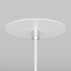 Подвесной светильник Maytoni Nevill P318-PL-01-W