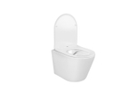 SET AQUATEK ВЕГА cmp-013 (рама AQUATEK Standard INS-0000012 с клавишей KDI-0000013 и крепежом KKI-0000002+унитаз ВЕГА AQ1904-00 с тонким сиденьем sc