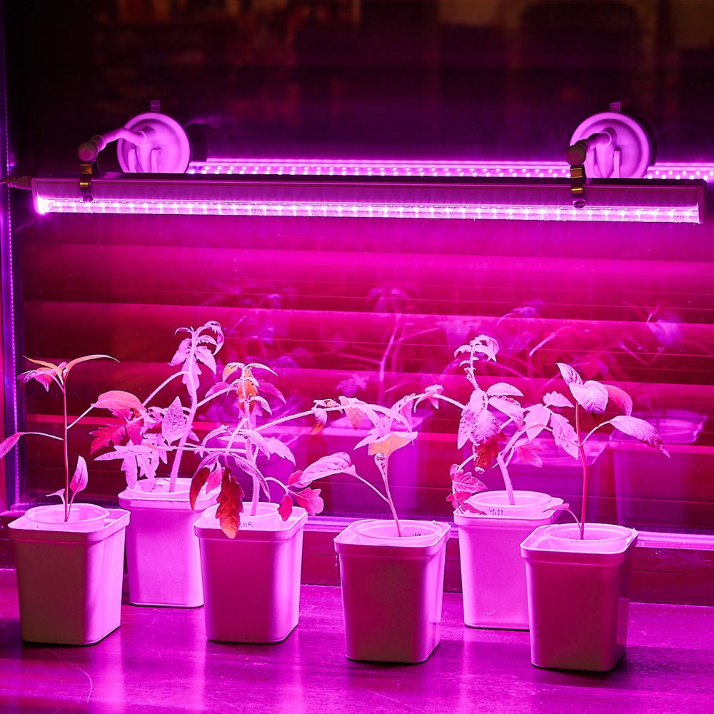 UFP-M01R-150 WHITE POLYBAG SET2 Подставка для светильника ULI-P. на присоске. длина трубки 150мм. Набор из 2шт. Белая. TM ФитоЛето