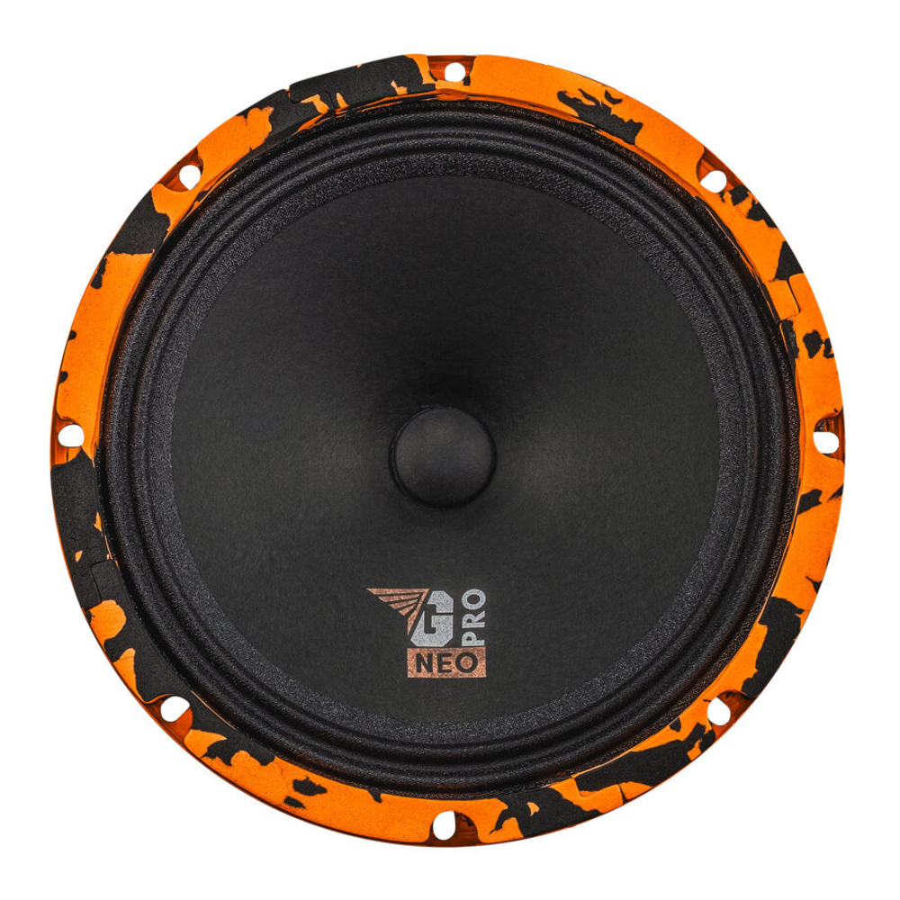DL Audio Gryphon Pro 200 Neo Эстрадная акустика 20 см. (8")
