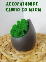 Декоративное кашпо из гипса со мхом черный матовый