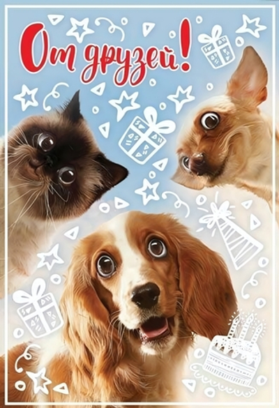 Открытка "От друзей" 12*18 см (Сфера)