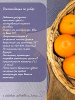 Салфетки сервировочные на стол 30 см, плейсматы (4 шт.)