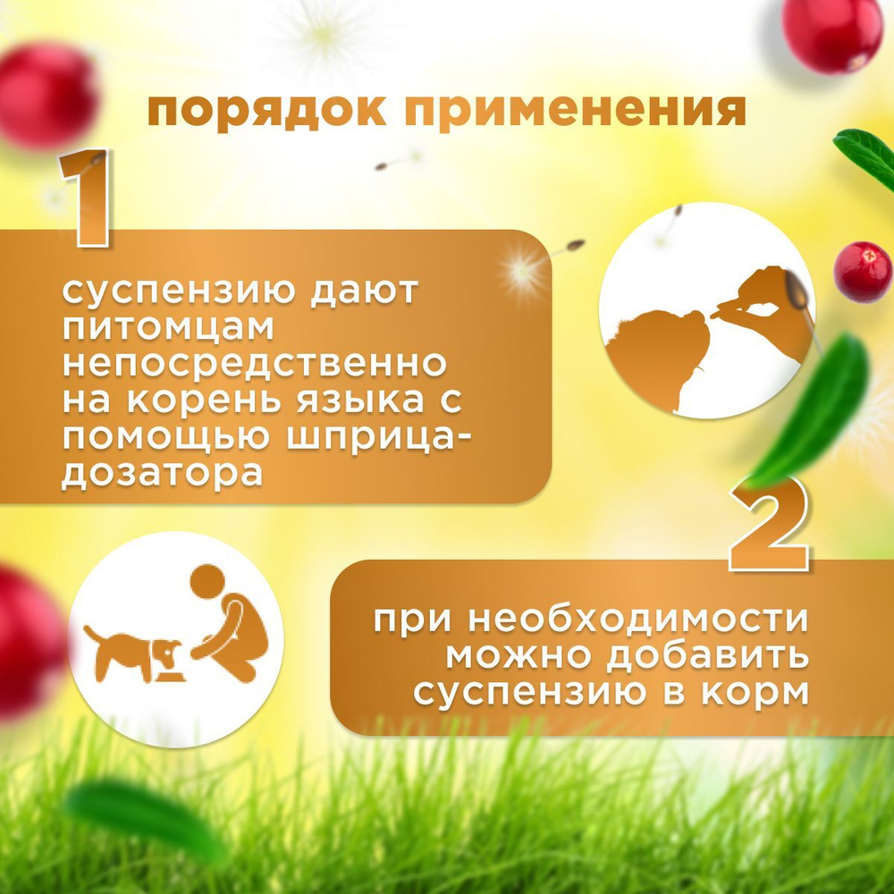 Кормовая добавка для нормализации и улучшения мочевыделительной системы и профилактики цестита, суспензия для кошек Стоп-цистит БИО (Apicenna), 30мл