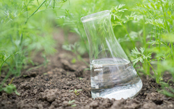 Биопрепараты