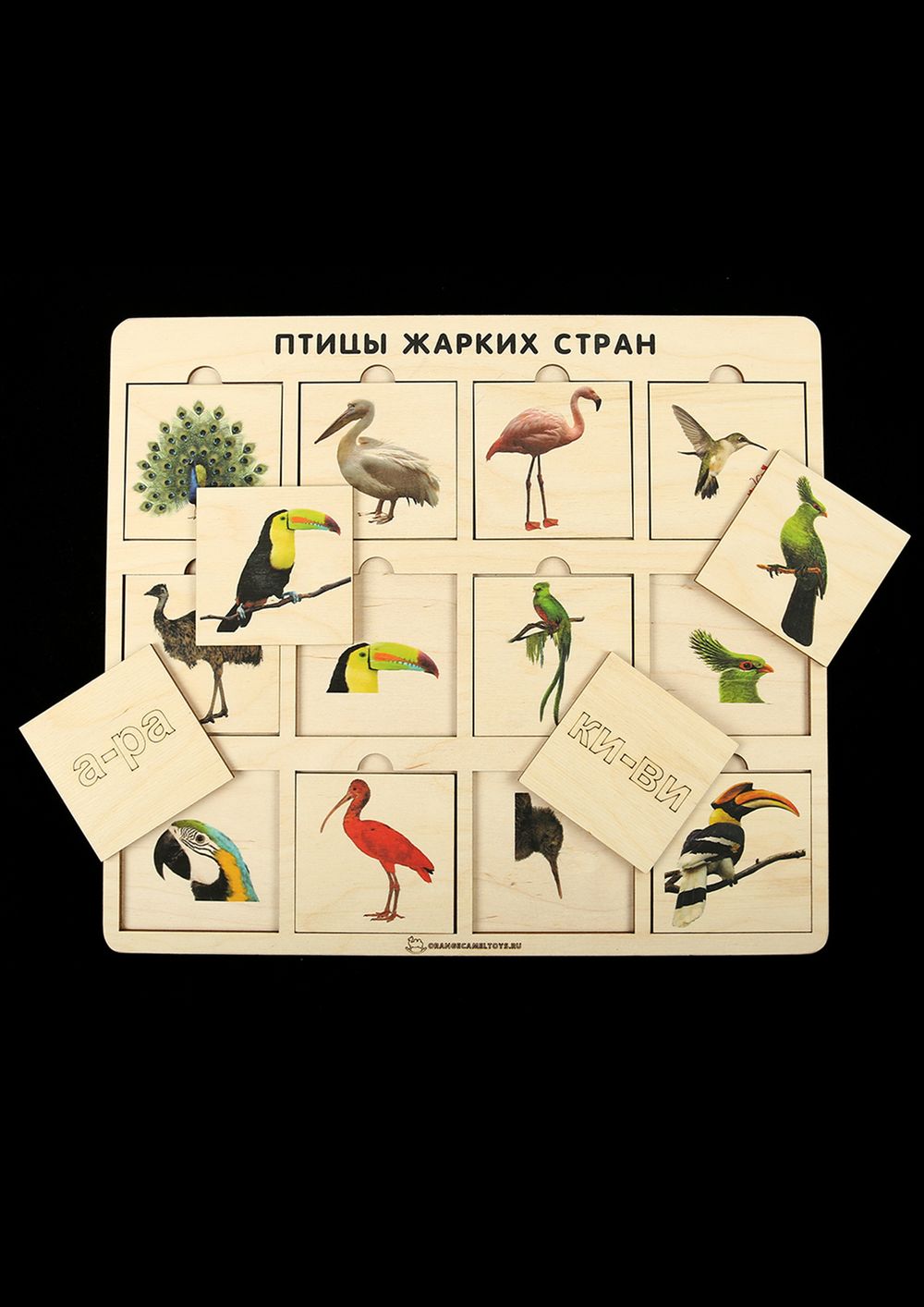 Игровое пособие "Птицы жарких стран"