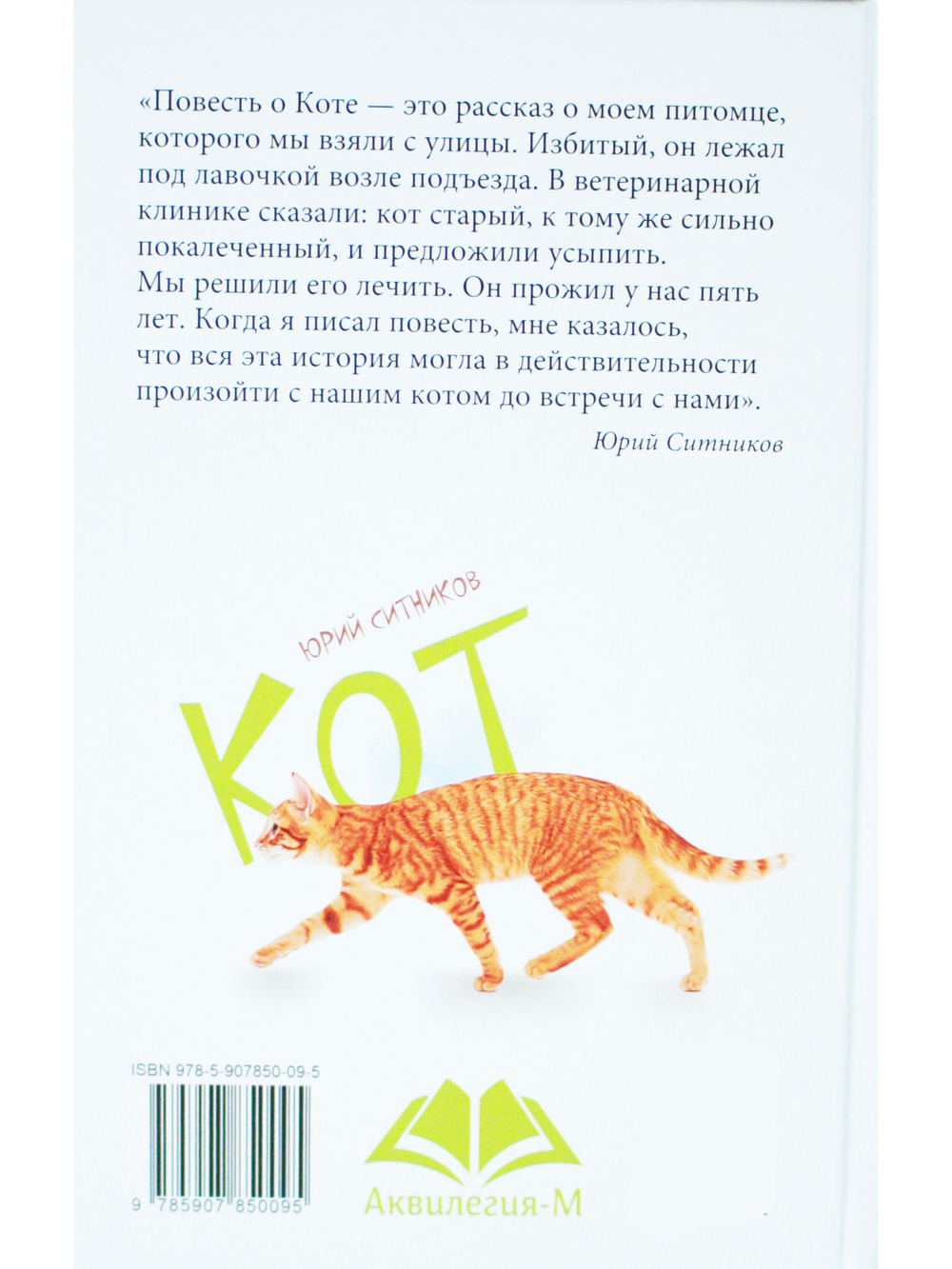 Кот