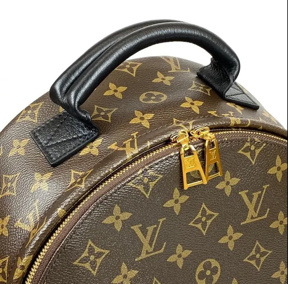 Рюкзак Louis Vuitton Palm Springs PM коричневый