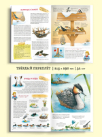 Книга о птицах. BIObook А. Толмачёва