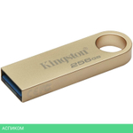USB Flash-накопитель Kingston Data Traveler SE9 G3 256Gb (DTSE9G3/256GB)