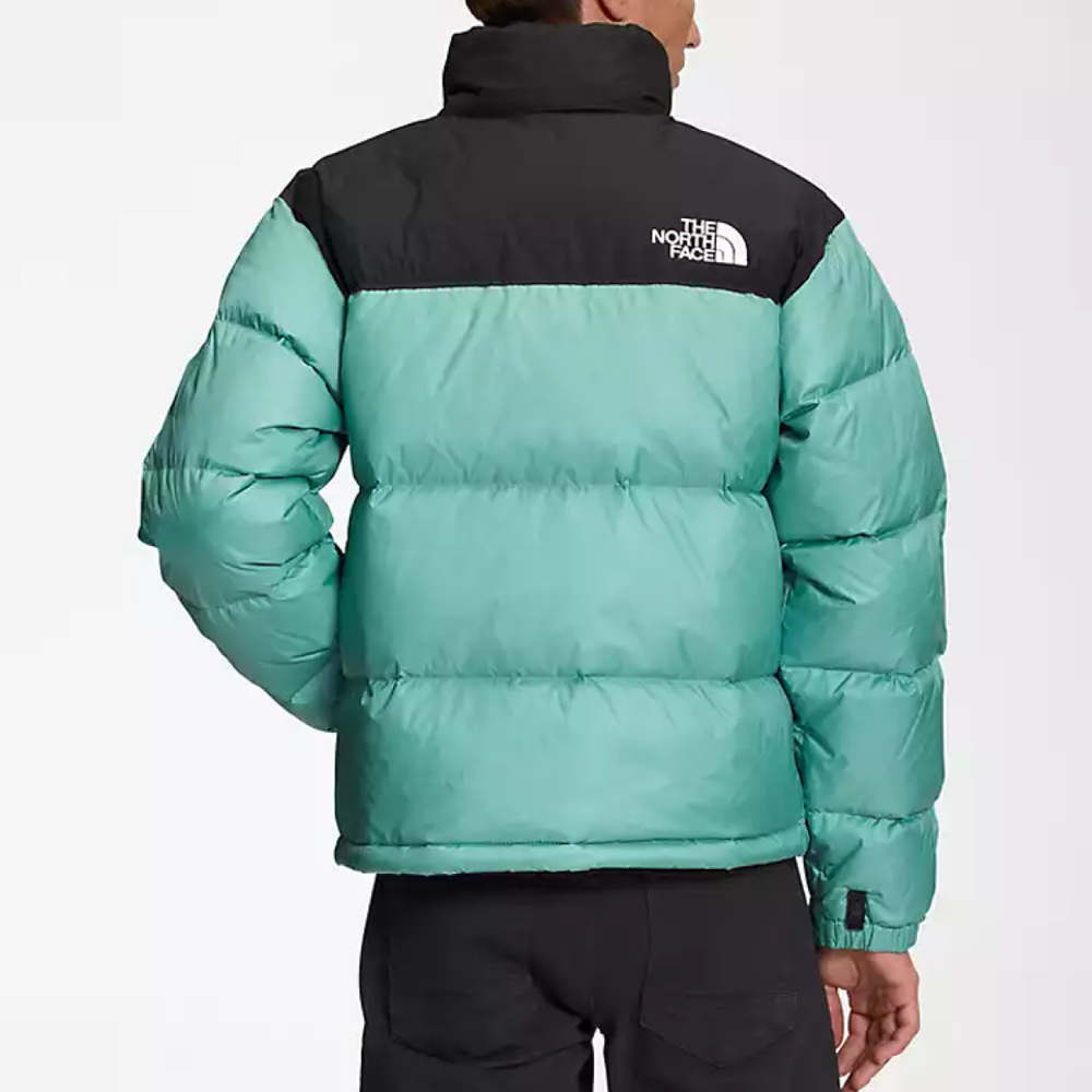 Куртки THE NORTH FACE 1996 Retro Nuptse SS22 Logo 700, NF0A3C8D-6R7