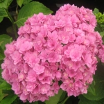 You & Me: Together/Ю энд ми Тугеде