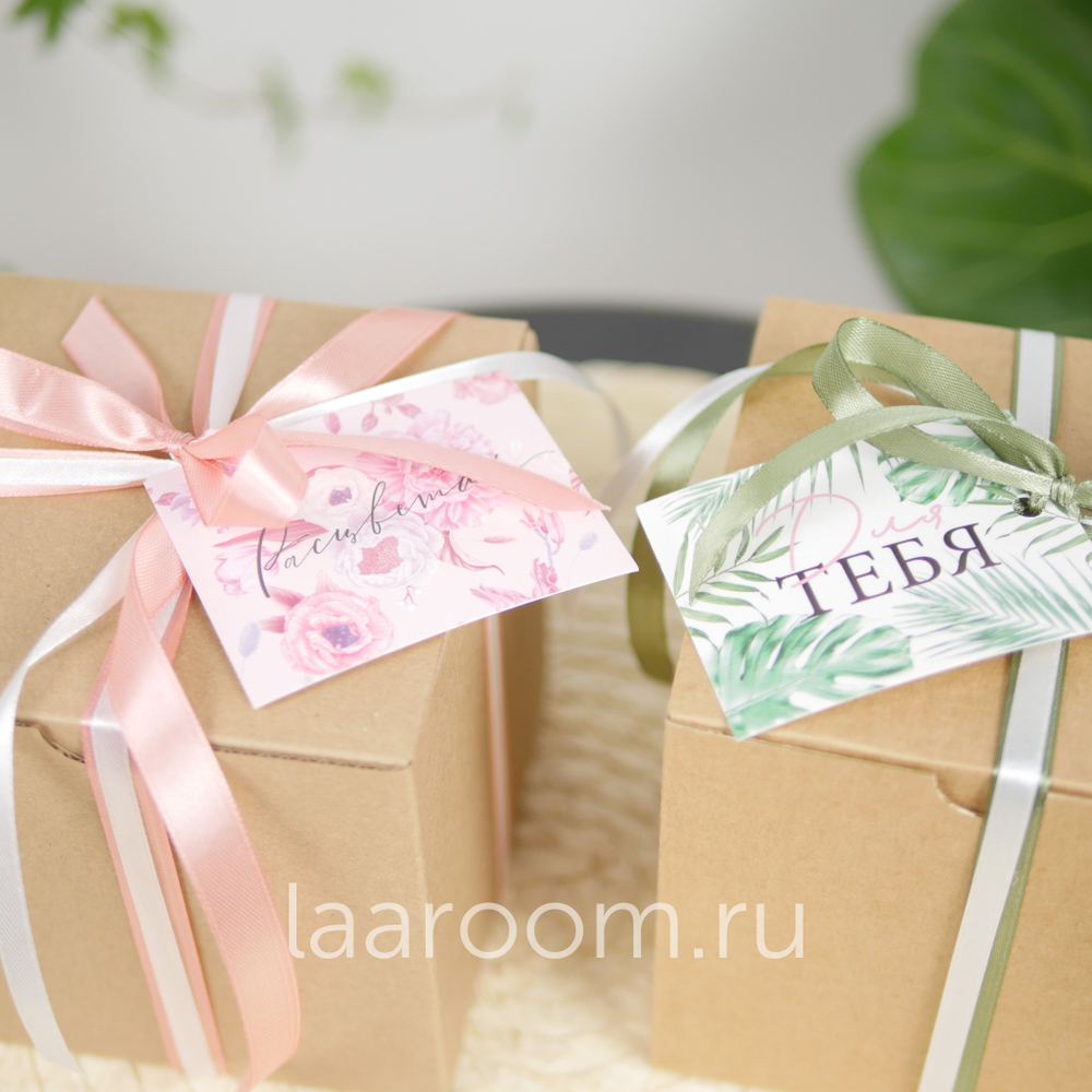 Суккулент в кашпо №3