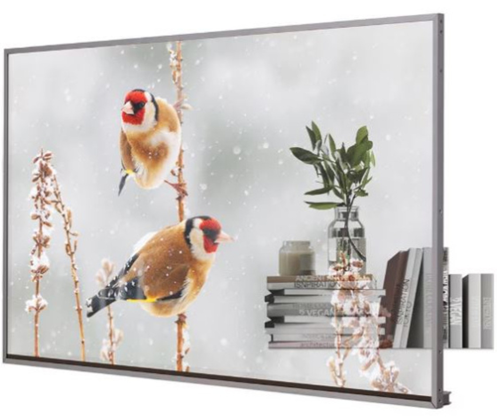 Панель LCD LG 55EW5P-M