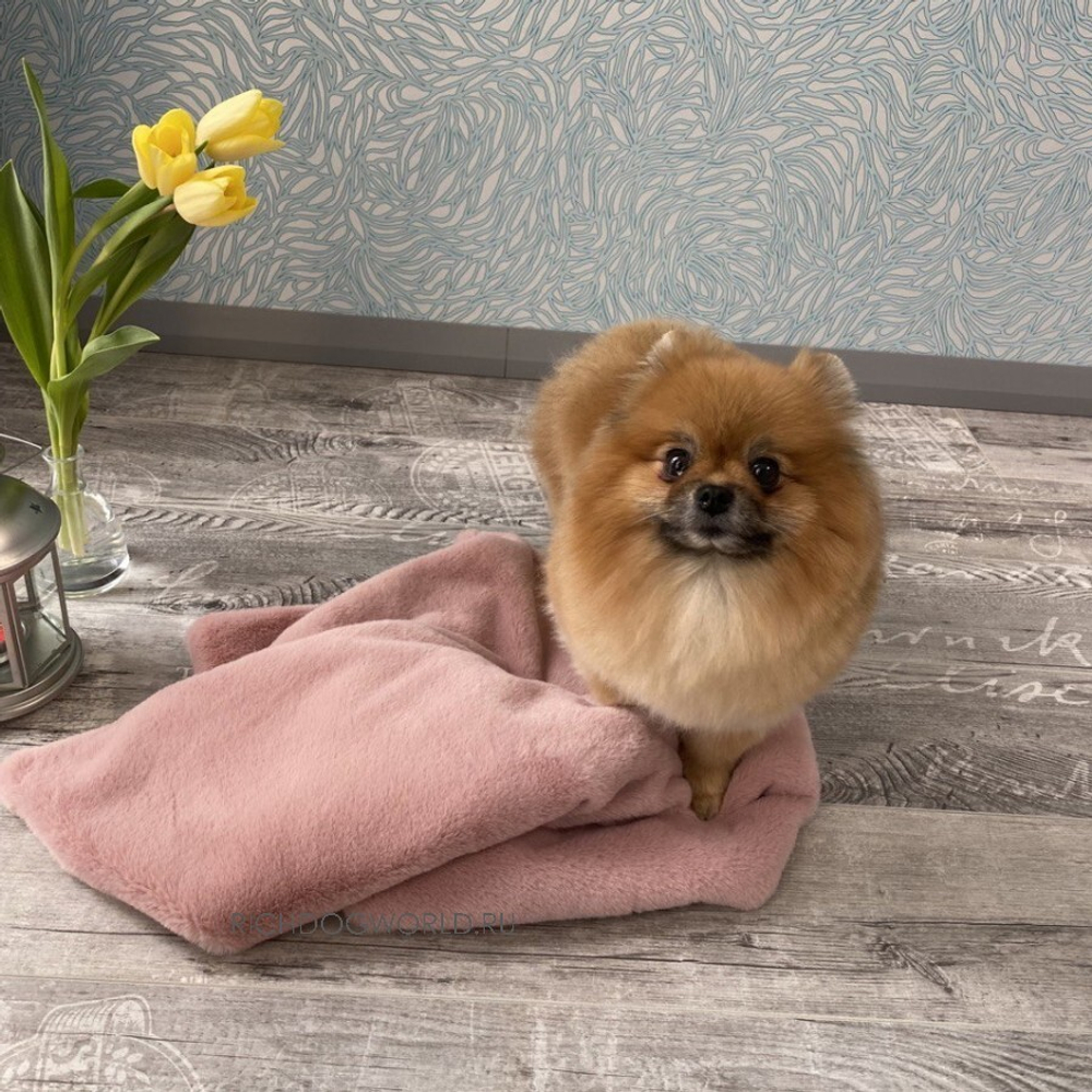 8203 MD Невероятно мягкий плед PREMIUM пыльно-розовый, мягкий МЕХ "Furry Heart Blanket" 50х70 см в лежанку/ сумку/ в переноску/ в дорогу
