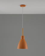 Подвесной светильник Moderli V10650-1P Toni