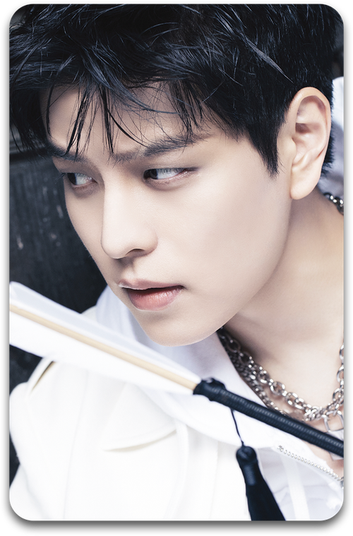 Карта / STRAY KIDS #2094