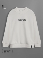 Свитшот для мальчика с принтом