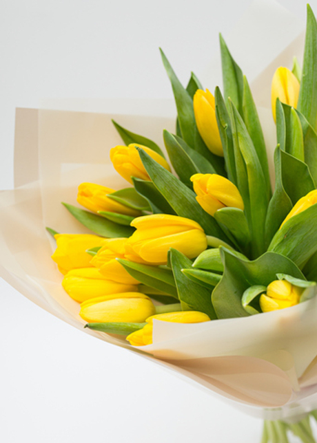 Букет из тюльпанов 8М M #8