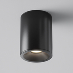 Накладной светильник Maytoni Alfa C029CL-01B