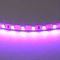 Светодиодная лента Lightstar 12W/m 120LED/m фиолетовый 5M 420518