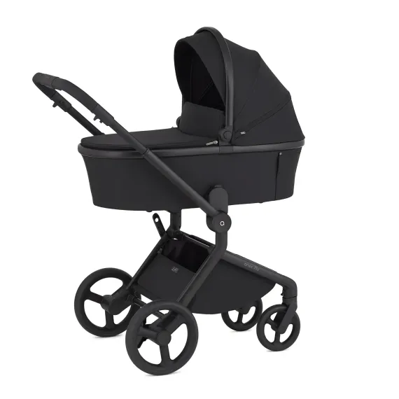 Коляска ANEX Flo 3 в 1 Lungo