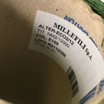 ALTER-ECO - Millefili; 97% кашемир, 3% меринос; 600м/100гр; col.E116, цвет: Зеленый травяной Есть мал. бобинка 252гр.