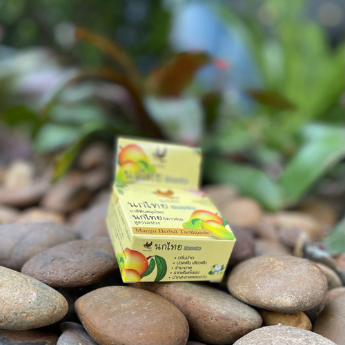 Тайская зубная паста с манго Mango Herbal Toothpaste NokThai