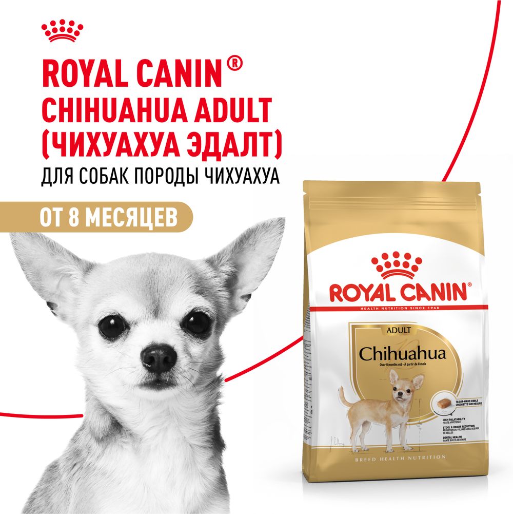 Сухой корм Royal Canin Chihuahua Adult для взрослых собак породы Чихуахуа от 8 месяцев Сухой корм Royal Canin Chihuahua Adult для взрослых собак породы Чихуахуа от 8 месяцев