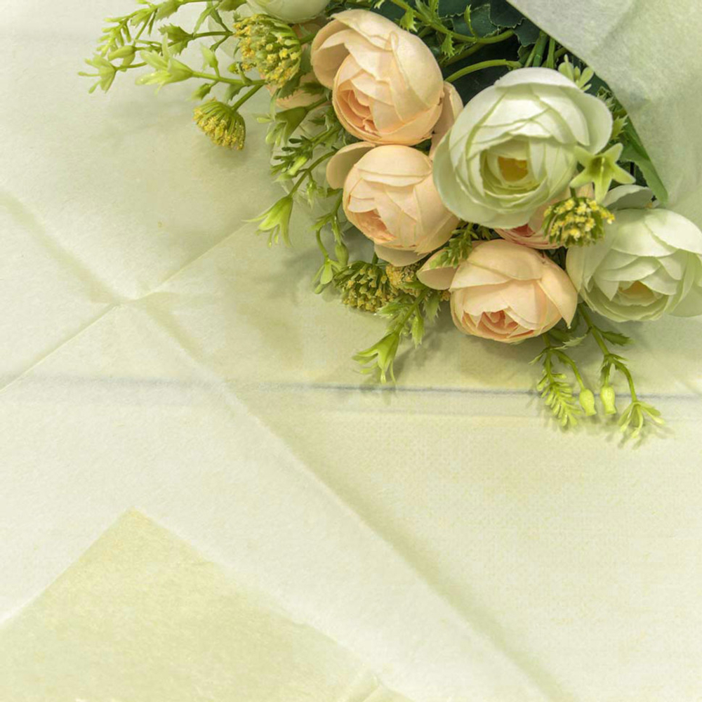 Бумага В листах 10 шт "Тишью" 50 х 66 см (Бежевый)