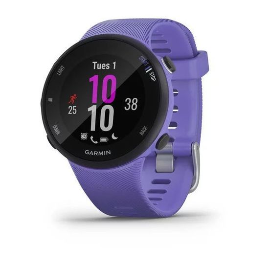 Беговые GPS часы Garmin Forerunner 45S (ирис) 010-02156-11