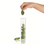 Кувшин с колбой для льда Tiffany 1,75 л акрил, прозрачный