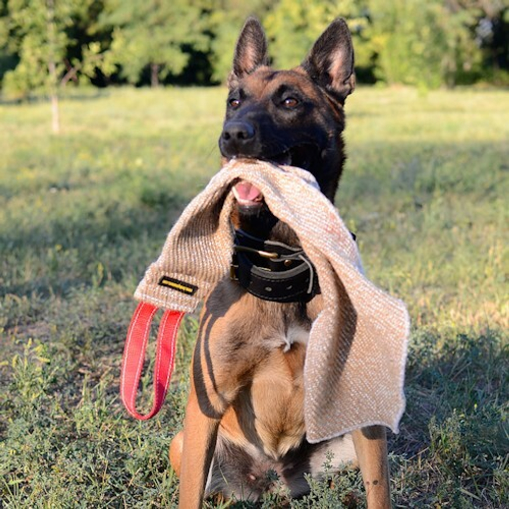Кусалка-тряпка из джутовой ткани Fordogtrainers