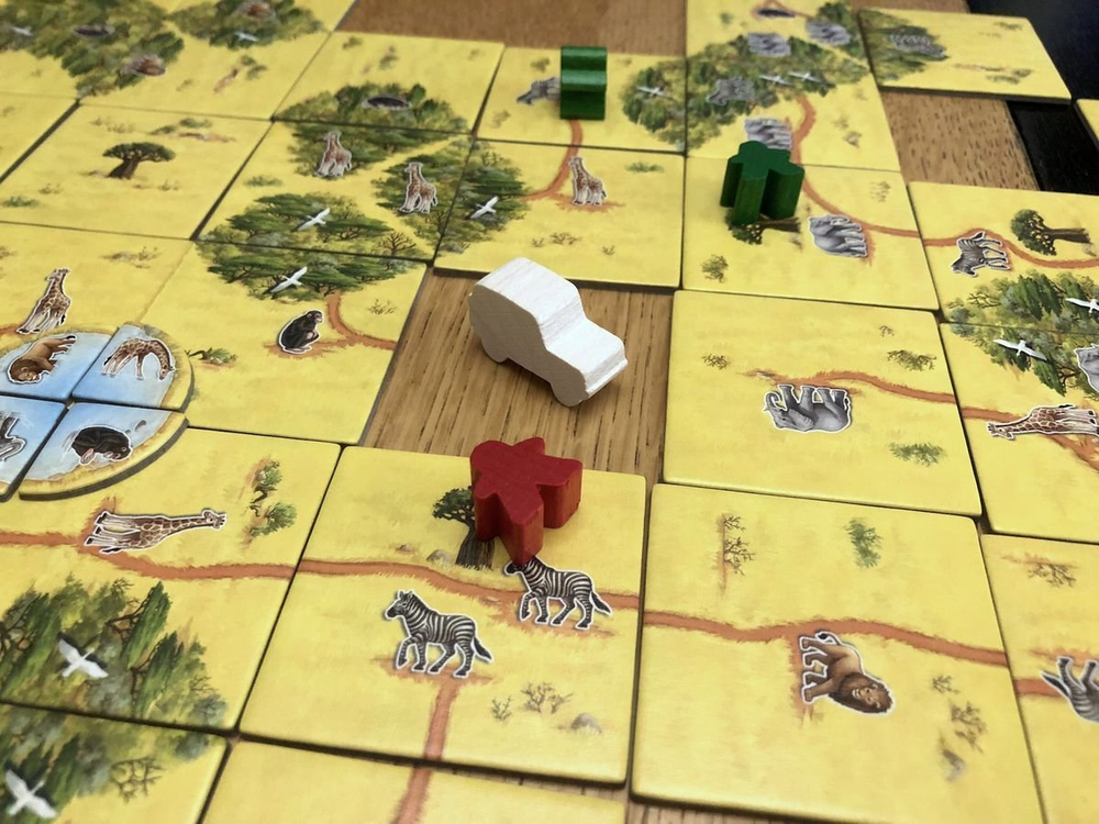 Каркассон. Сафари