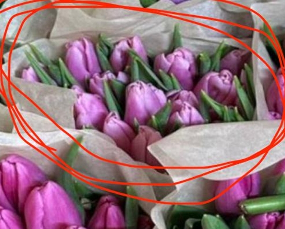 25 светло-фиолетовых тюльпанов в упаковке