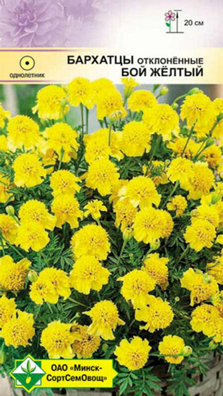 Бархатцы "Бой желтый" 0.5г., Германия.