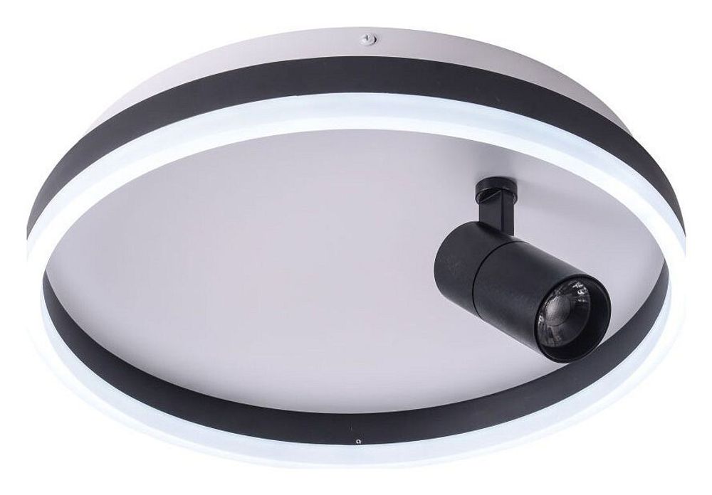 Накладной светильник Zortes Raizy ZRS.1888.03