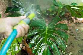 Глубокое погружение: что стоит за качеством рукава для полива?