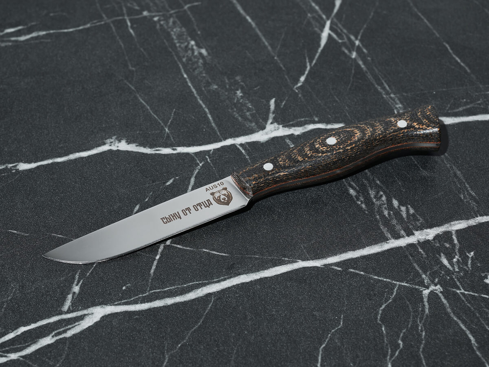 Набор кухонных ножей "Сыну от отца", сталь AUS-10, рукоять текстолит