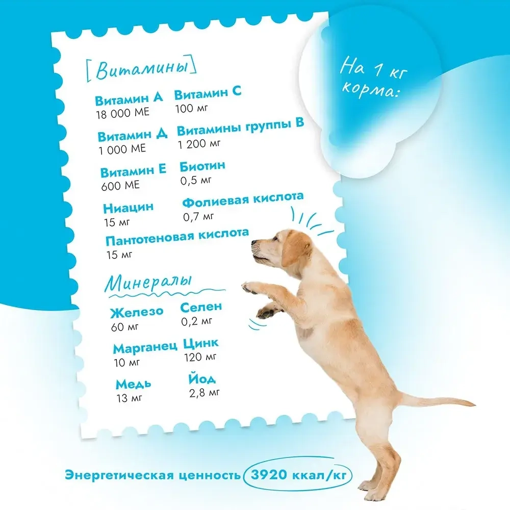 Сухой корм для собак и щенков с 1 мес. Best Dinner Dog & Puppy Sensible 12 кг ягненок с ягодами