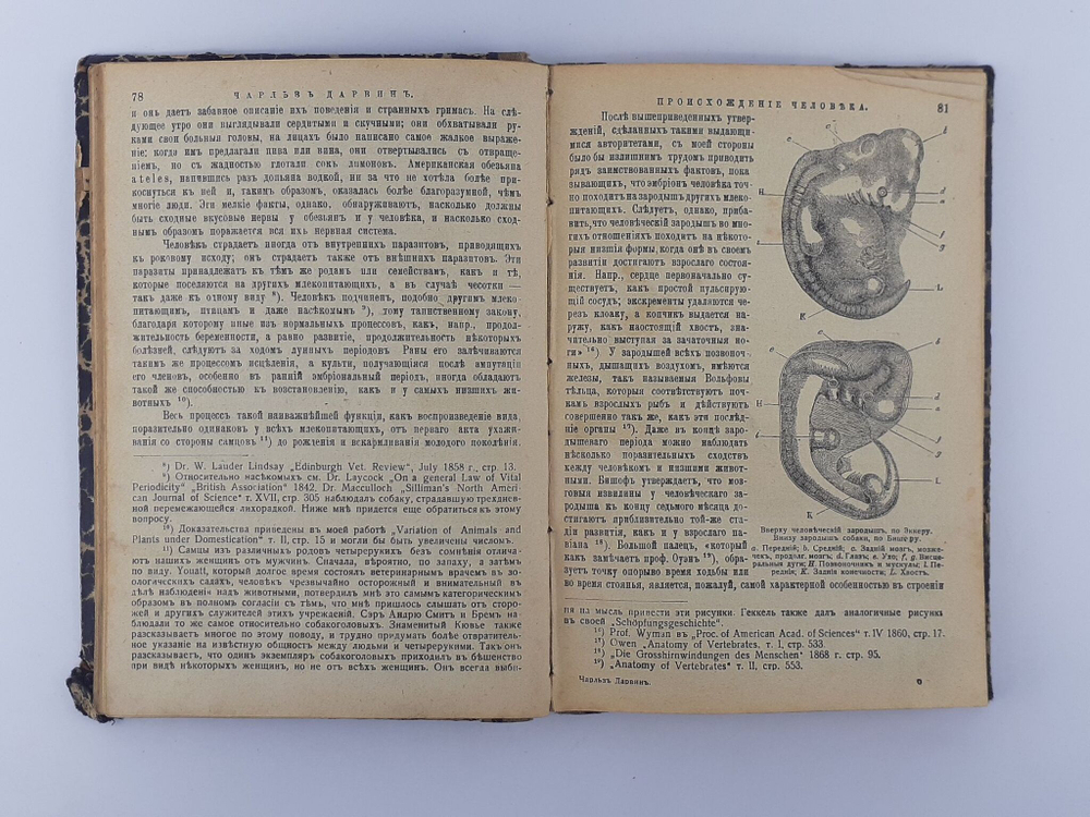 Чарльз Дарвин. Собрание сочинений. Том 1. Автобиография. Антикварное издание