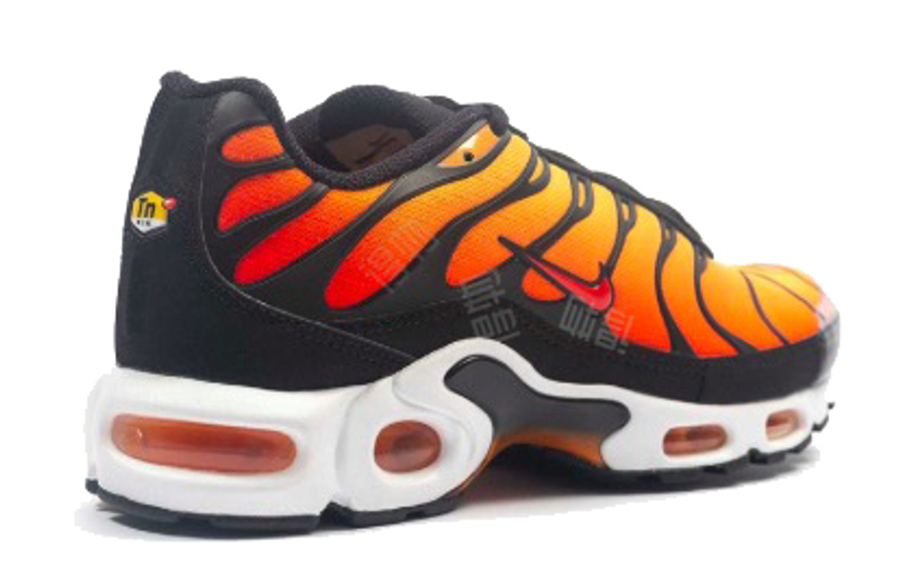 Кроссовки Nike Air Max Plus Og