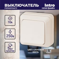 Выключатель Intro Quadro 2-101-02 одноклавишный 10А-250В, IP20, ОУ, слоновая кость