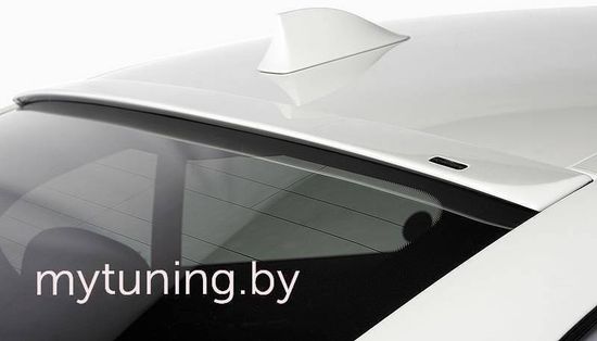 Козырек AC SCHNITZER для BMW F10