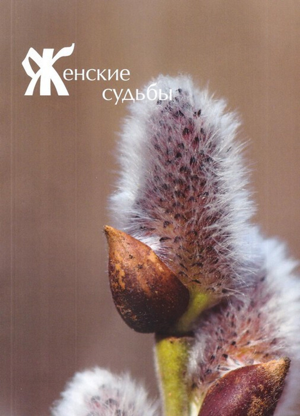 Журнал "Славянка" №2 март-апрель 2022 г.