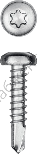 KRAFTOOL DS-P 19 х 3.9 мм, А2, сверло, полукр. головка, ТХ15, саморез нержавеющий, 750 шт (300931-39-019)